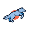 Coyote