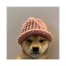 dogwifhat (dogwifcoin.org)