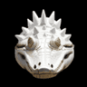 Lacostoken