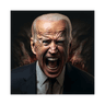 BIDEN 2024