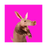 Aardvark