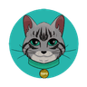 Shira Cat
