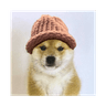 babydogwifhat