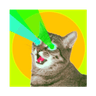 Bitcoin Cat