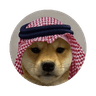 dogwifsaudihat