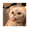 Tongue Cat