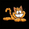 Garfield Cat