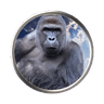 Harambe on Solana