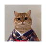 Cat Own Kimono