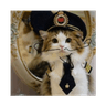 Neuracat