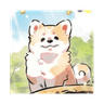 Petoshi