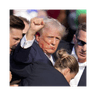 FIGHT TRUMP