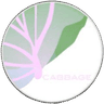 CabbageUnit