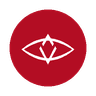 SingularDTV