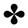 Syntropy