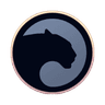 Panther Protocol