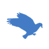 DMM: Governance